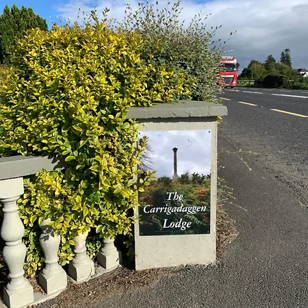 Carrigadaggen 2 King Bed - Spacious & Comfy! Appartement Ballynabola