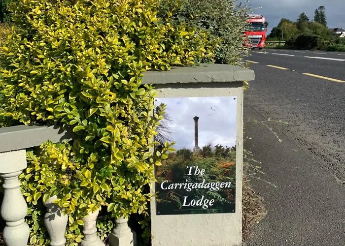 Carrigadaggen 2 King Bed - Spacious & Comfy! Apartamento Ballynabola