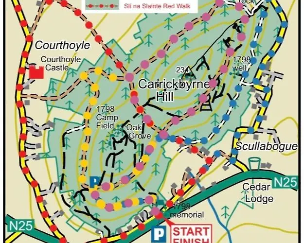 Carrigadaggen 2 King Bed - Spacious & Comfy! Ballynabola